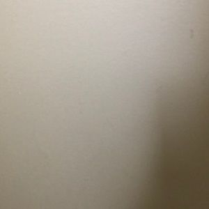 Meet your Posher, Mia